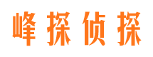 麟游婚外情调查取证